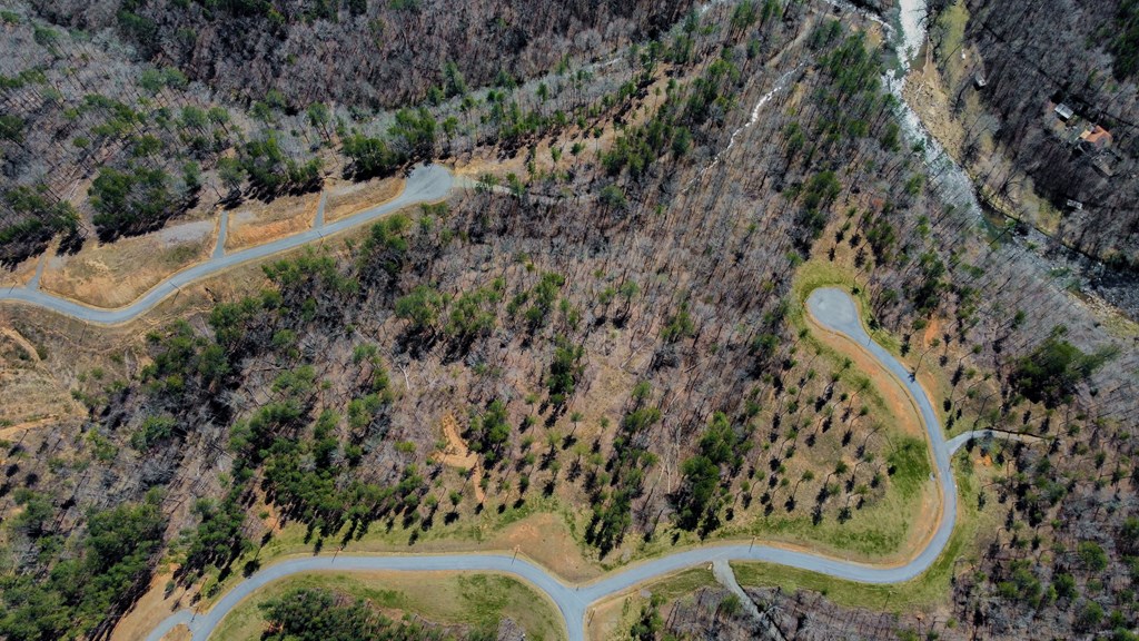 Ellijay, Georgia 30540, United States, ,Land,Active,61975