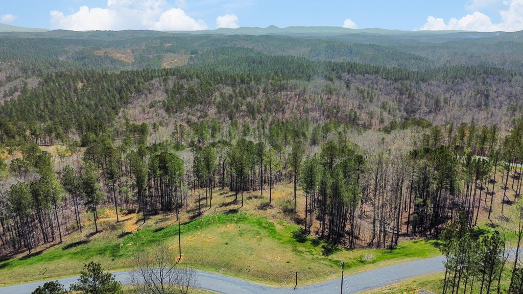 Ellijay, Georgia 30540, United States, ,Land,Active,61975