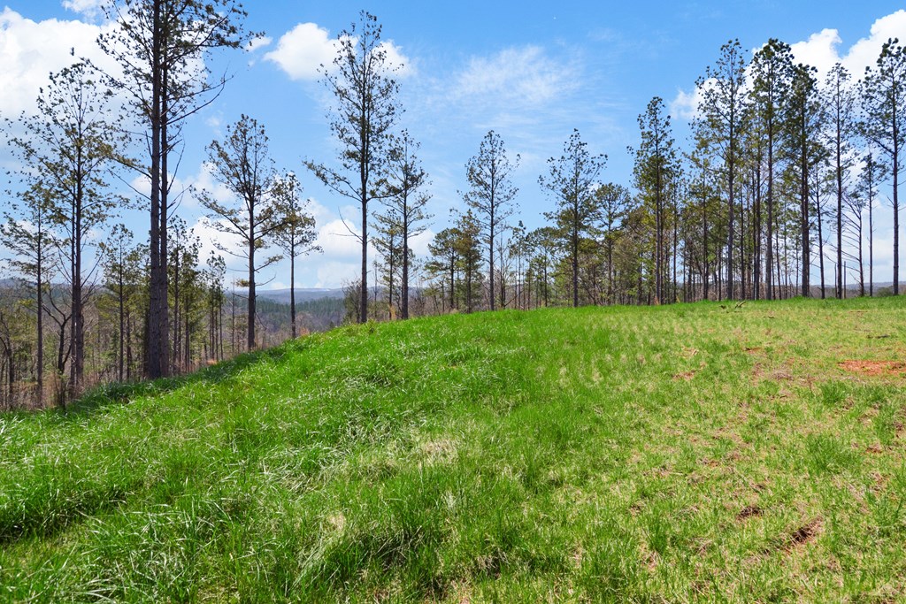 Ellijay, Georgia 30540, United States, ,Land,Active,61975