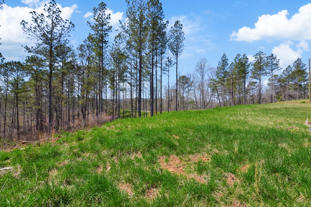 Ellijay, Georgia 30540, United States, ,Land,Active,61975