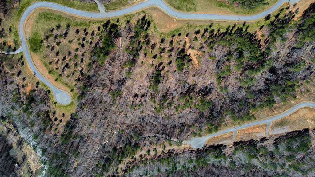 Ellijay, Georgia 30540, United States, ,Land,Active,61975