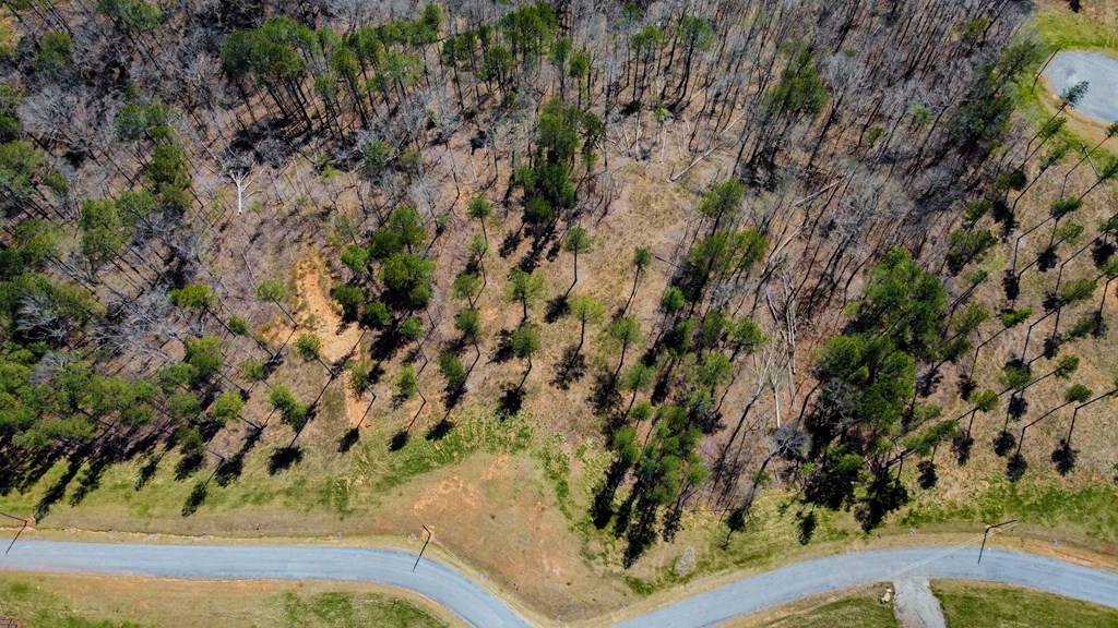 Ellijay, Georgia 30540, United States, ,Land,Active,61975