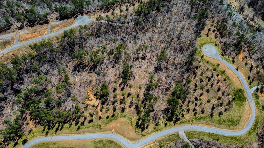 Ellijay, Georgia 30540, United States, ,Land,Active,61975