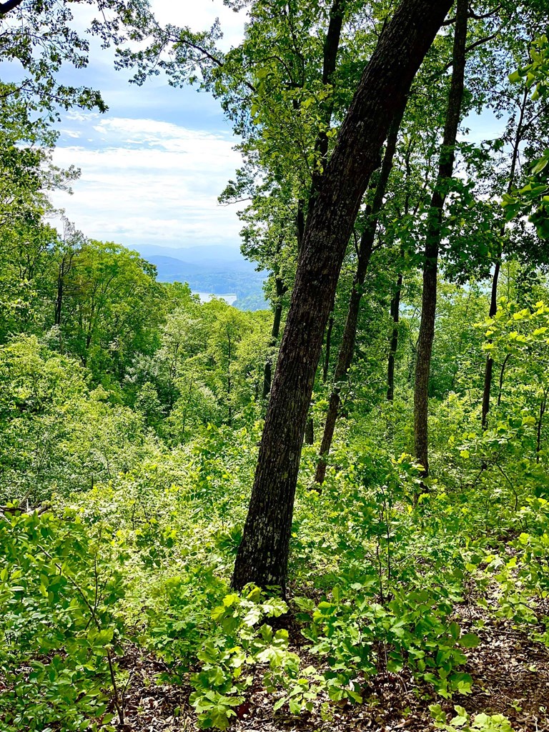 Lot 103 Highland Park Iii