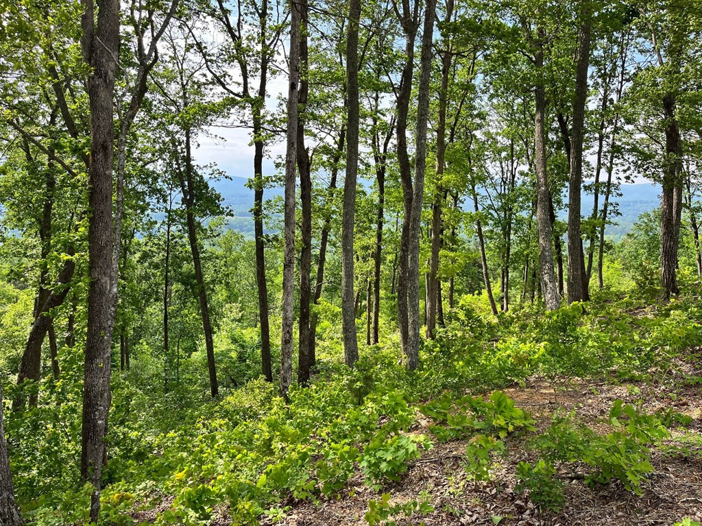 Lot 103 Highland Park Iii