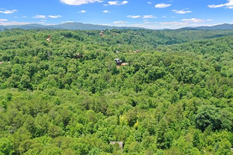 A home in Blue Ridge