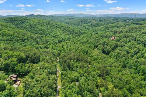 A home in Blue Ridge