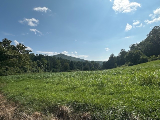 Tract 1A Thumping Creek Road