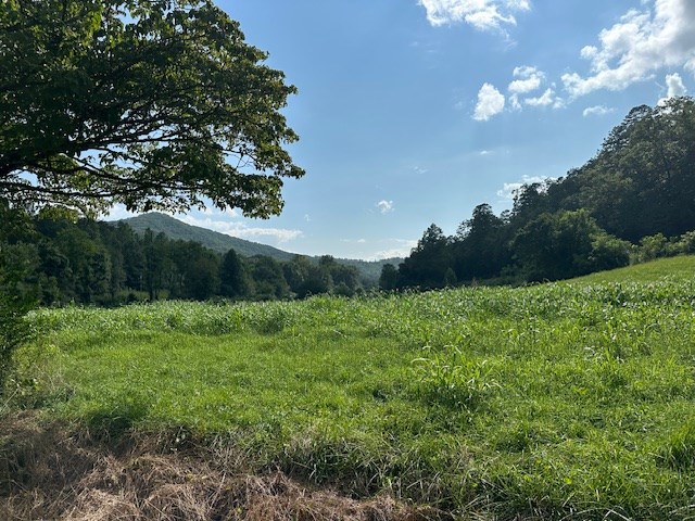 Tract 1A Thumping Creek Road