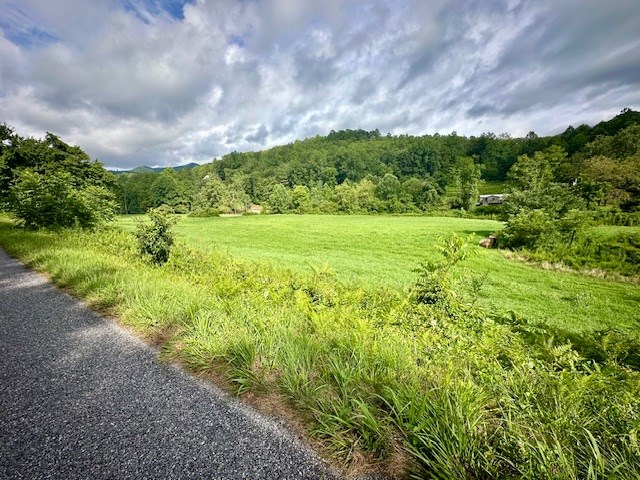 Tract 1A Thumping Creek Road