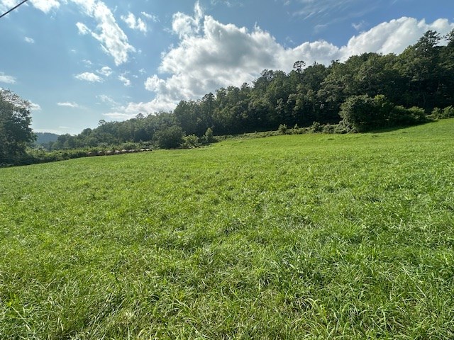 Tract 1A Thumping Creek Road