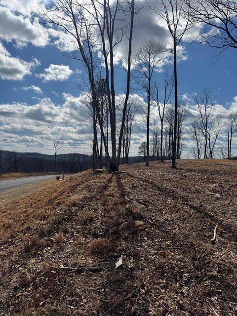 0 Highgrove Drive Talking Rock GA 30175