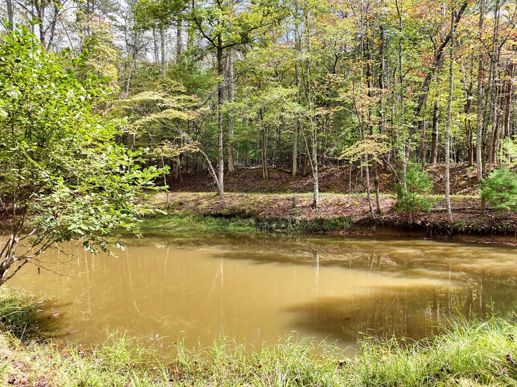 307 Mountain Creek Road