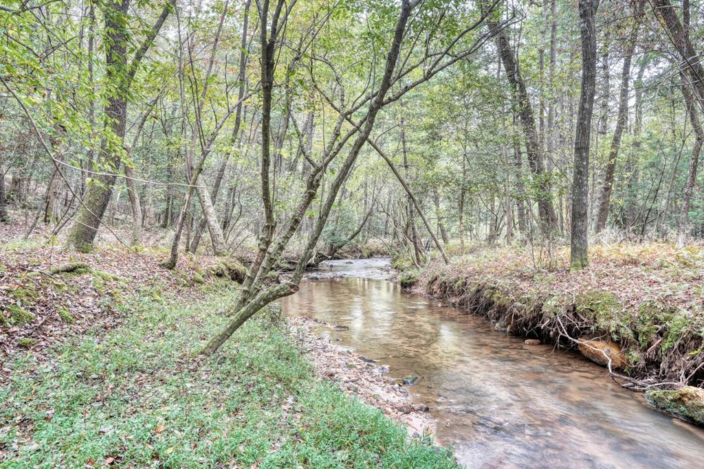 307 Mountain Creek Road