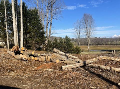 1 & 1A Sneaking Creek Drive Hayesville NC 28904