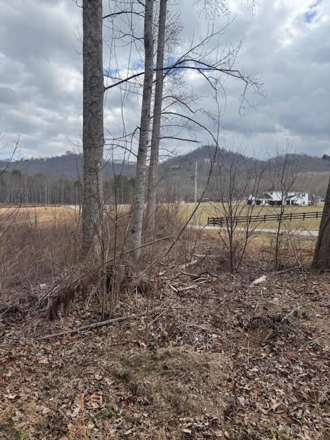 1 & 1A Sneaking Creek Drive