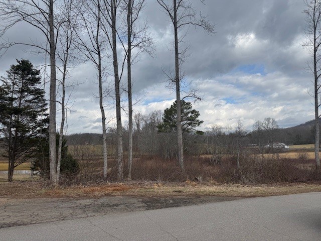 1 & 1A Sneaking Creek Drive