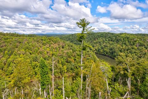 LT 931 R Myna Drive Ellijay GA 30540