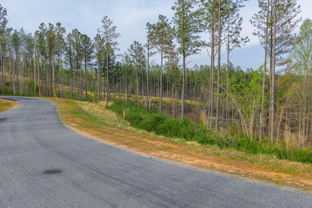 Lot 226 West Vista Ridge Parkway