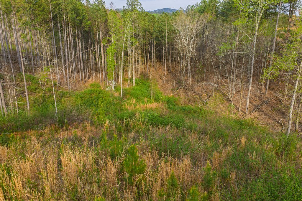 Lot 226 West Vista Ridge Parkway