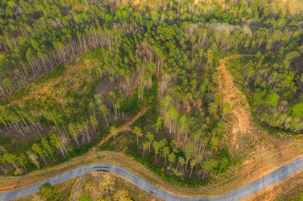 Lot 226 West Vista Ridge Parkway