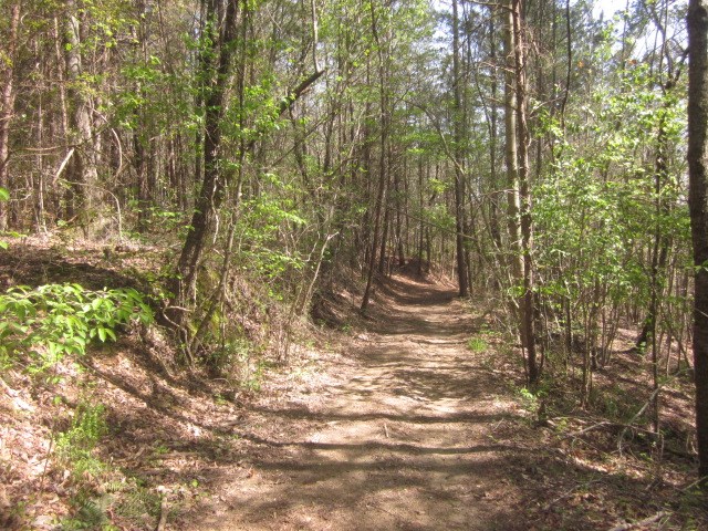 000 W Hwy 53w