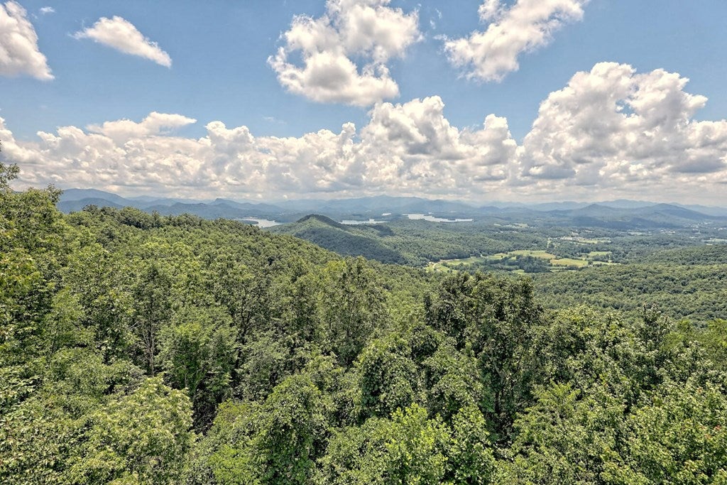1212 E Double Knob Dr, Hayesville, NC, 28904, USA, 3 Bedrooms Bedrooms, ,4 BathroomsBathrooms,Residential,Active,1212 E Double Knob Dr,434006