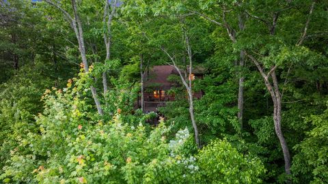 A home in Blue Ridge