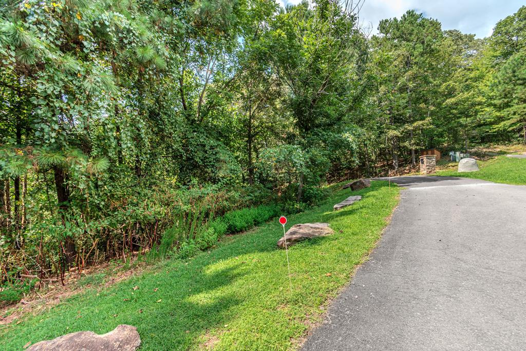 4.7AC Mountain Creek Hollow Drive