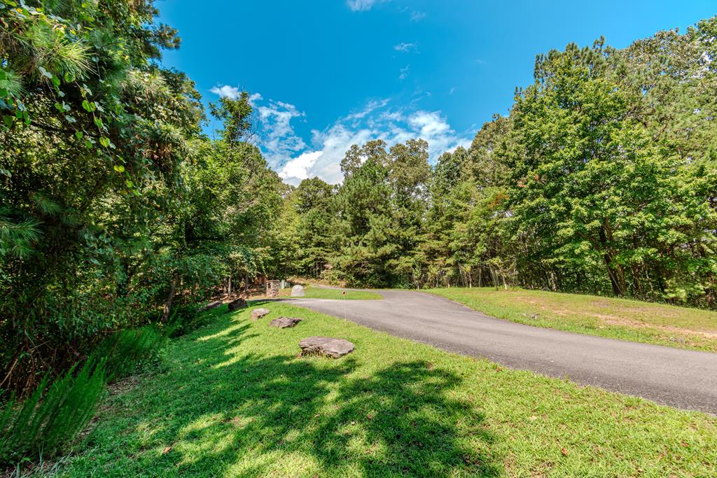 4.7AC Mountain Creek Hollow Drive