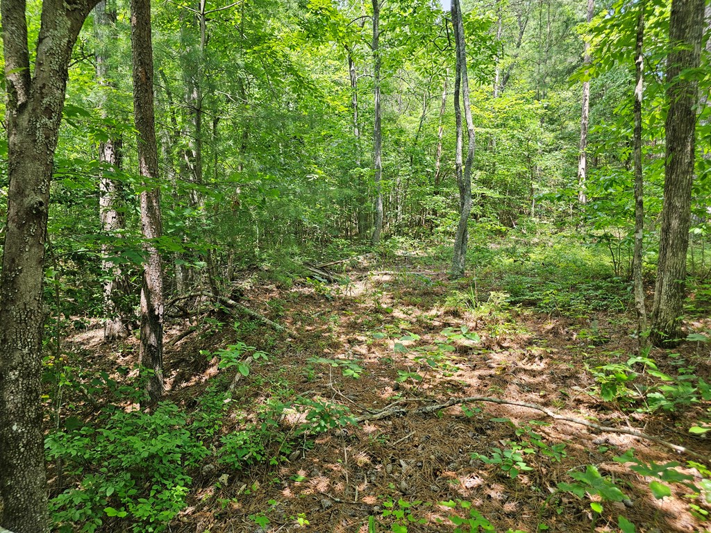 0 Harris Ridge Drive