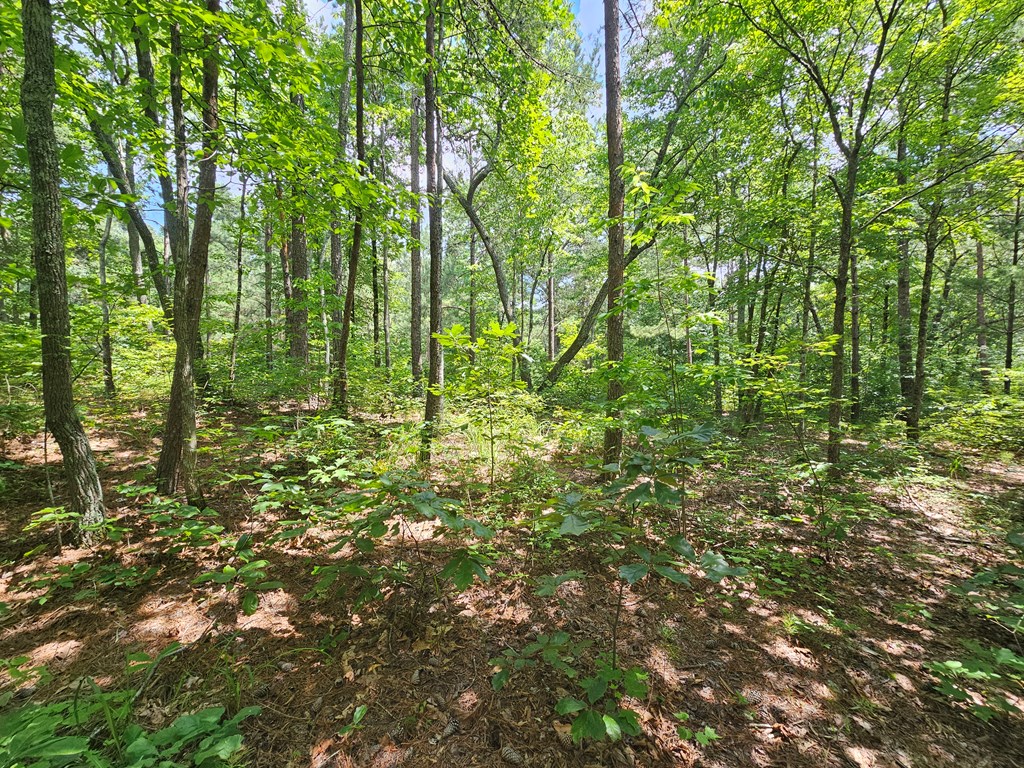 0 Harris Ridge Drive
