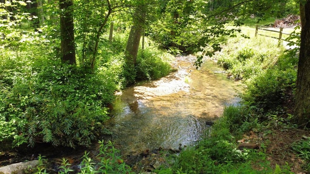 Tract 1 Timber Ridge Road