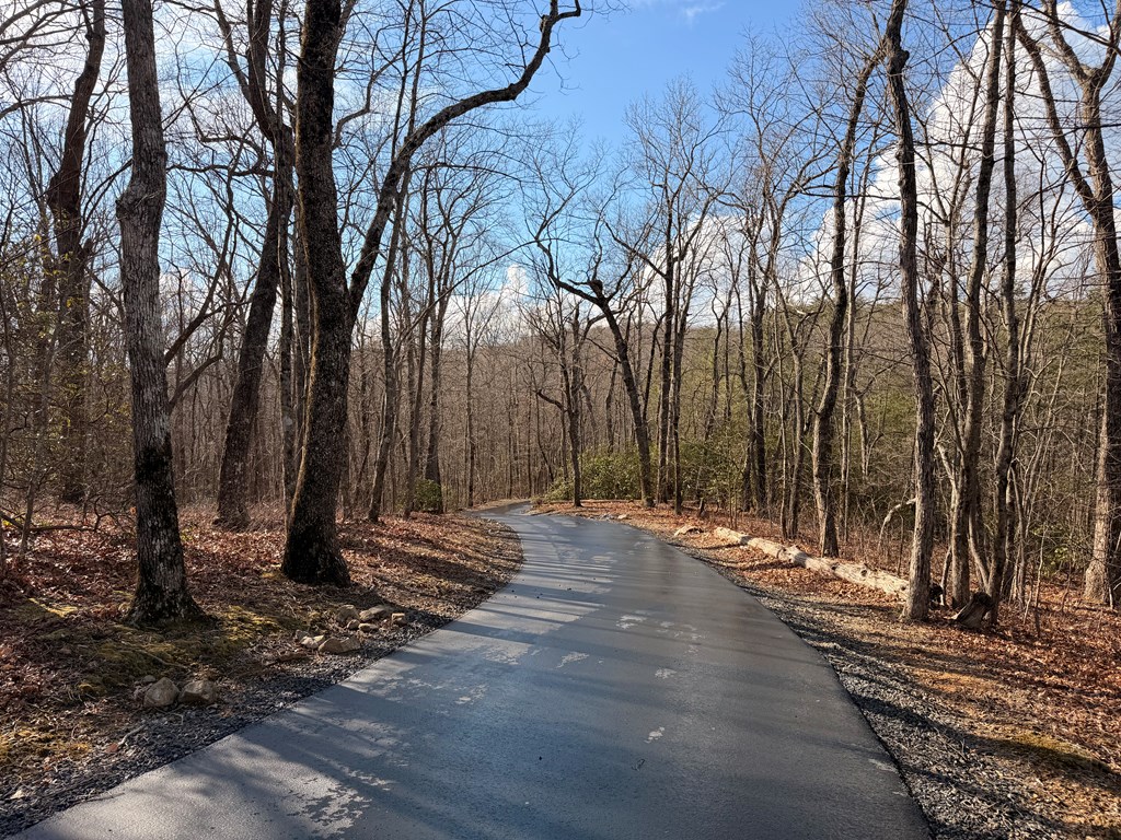 1950 Saint Andrews Way