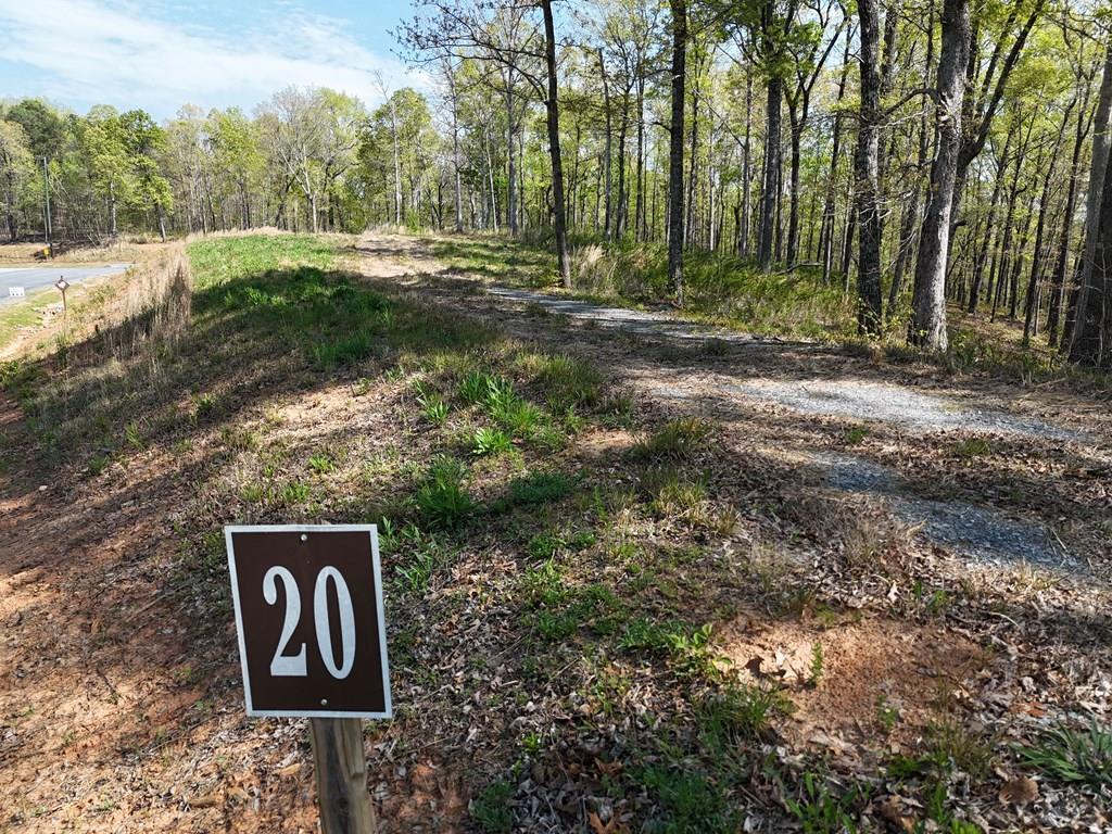 Lot 20 Blalock Mountain Road