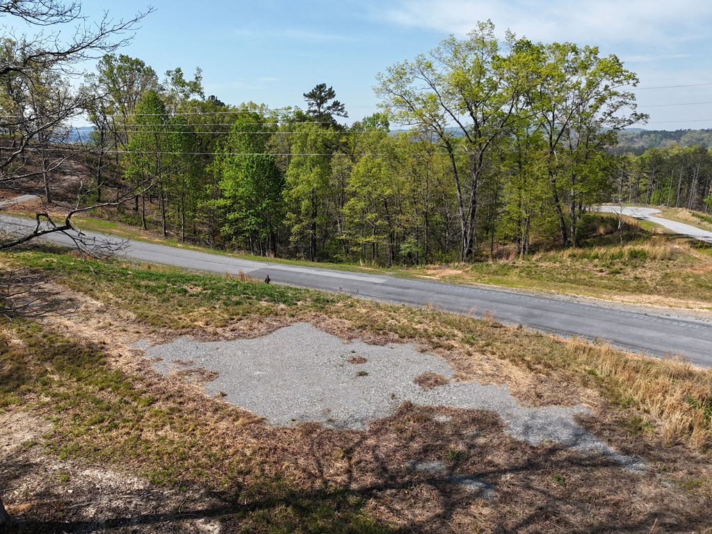 Lot 20 Blalock Mountain Road