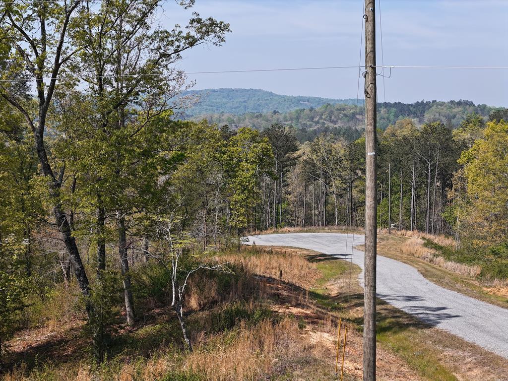 Lot 20 Blalock Mountain Road