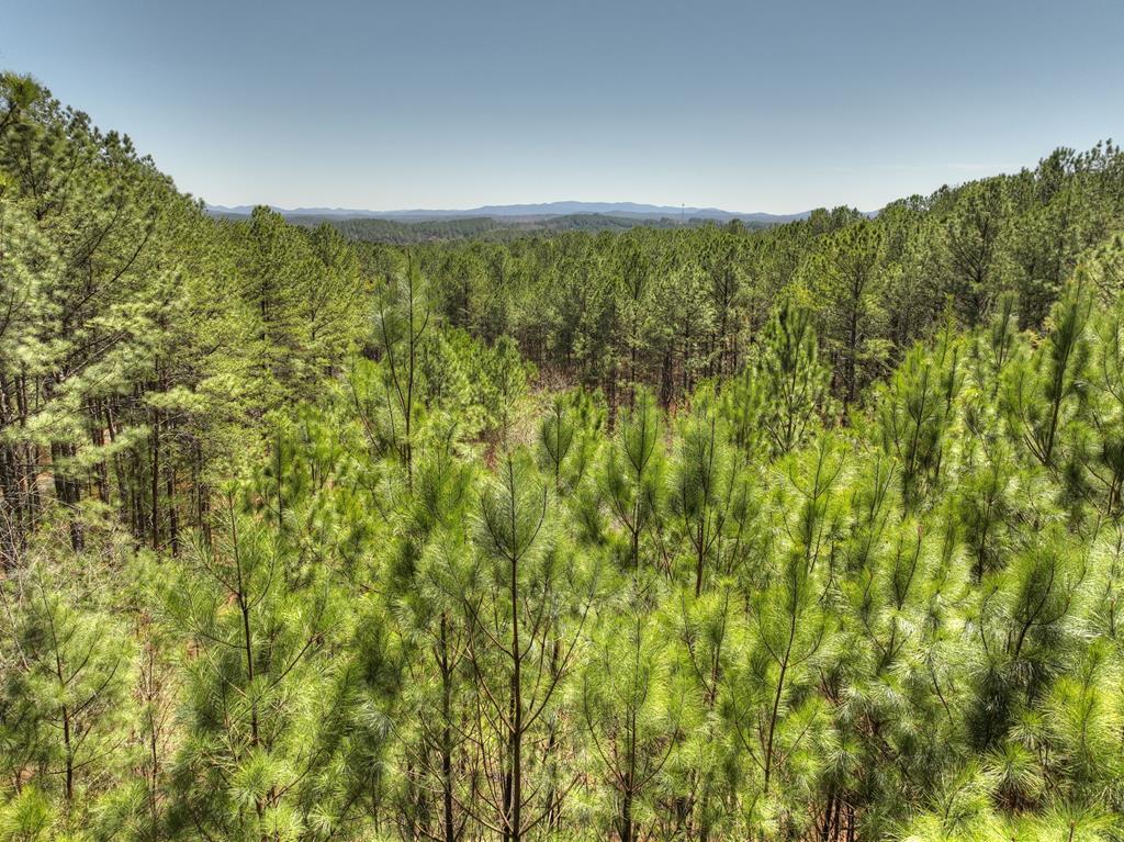 40 & 41 Blue Bird Trail