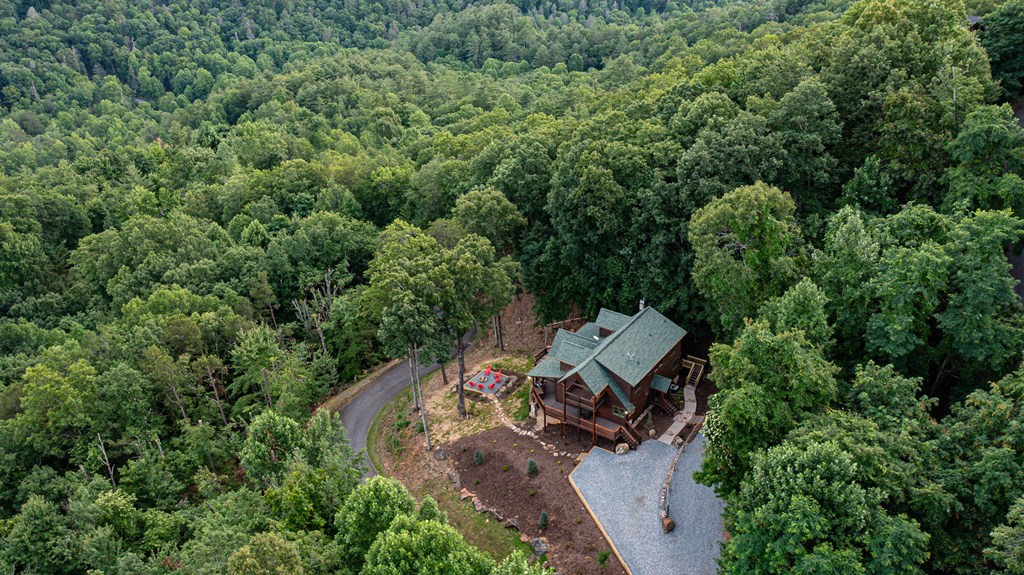 Blue Ridge, Georgia, 30513, United States, 4 Bedrooms Bedrooms, ,4 BathroomsBathrooms,Residential,Active,1998761