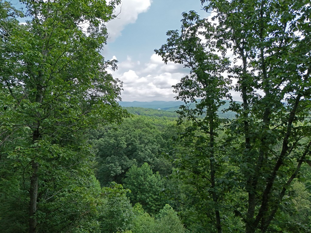 Lot 71 Chicory Drive W