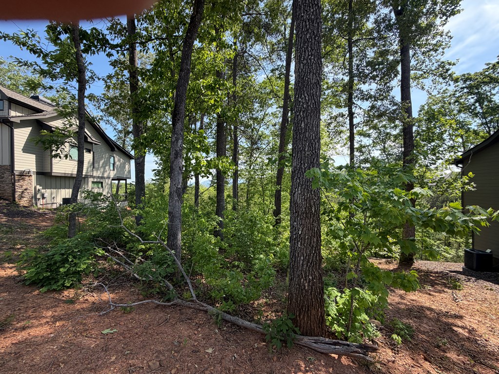 LOT 31 Summit View Lane