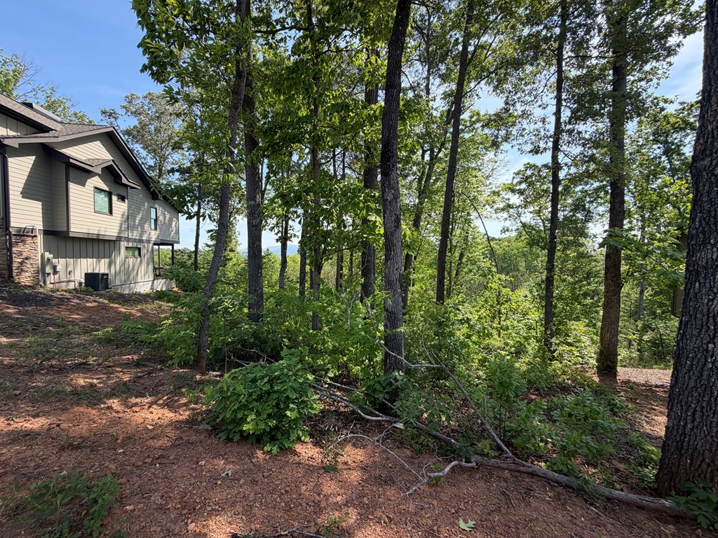 LOT 31 Summit View Lane