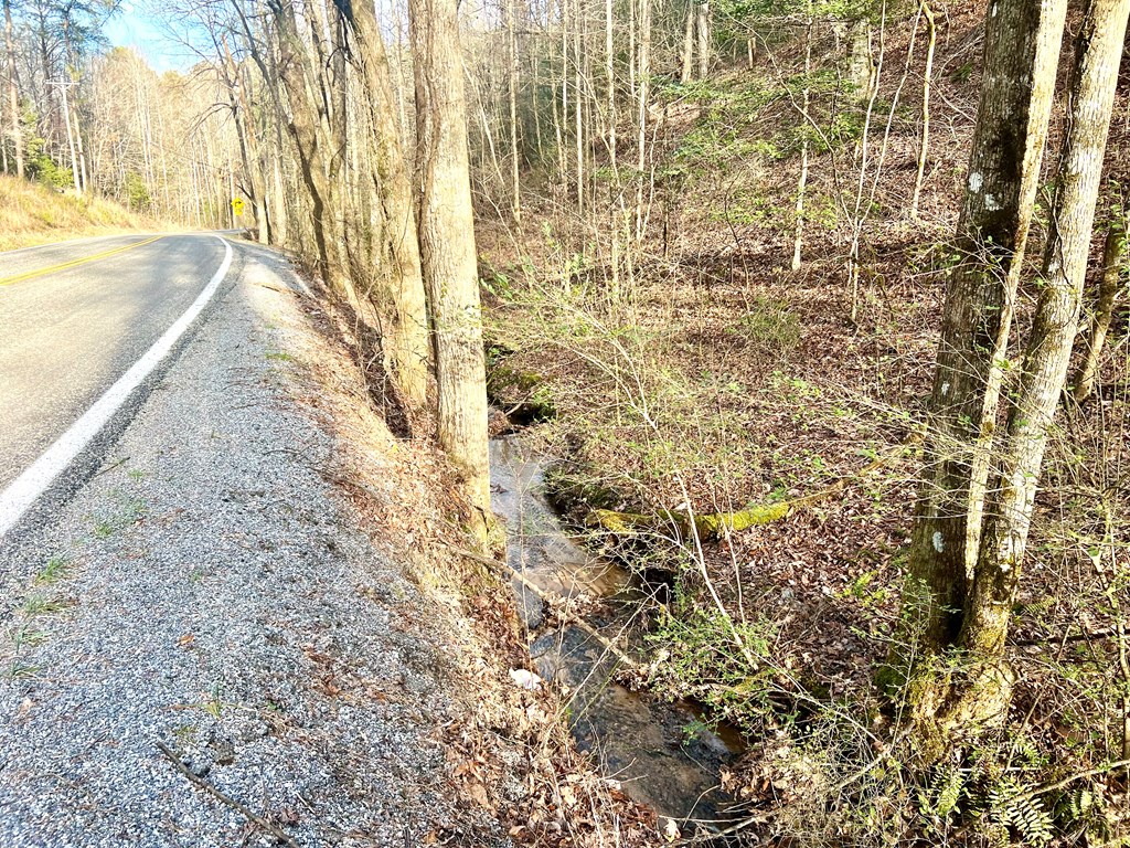 12 ACRE Pleasant Gap Road