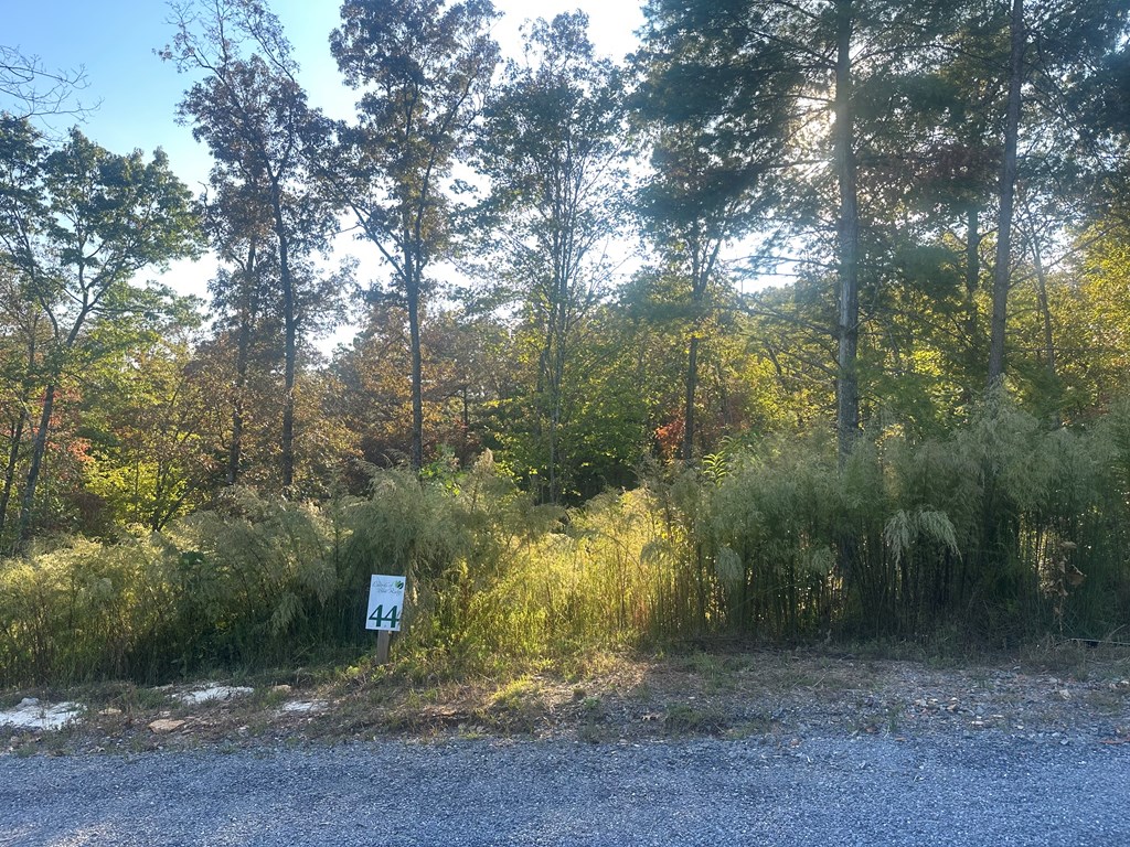Lot 44 Ridgeline Lane