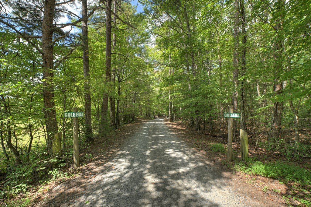 Lot 5 Chief Ron Green Trail