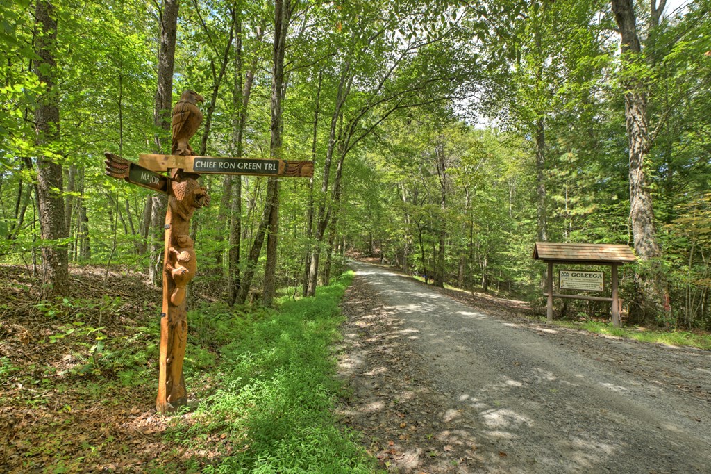 Lot 5 Chief Ron Green Trail