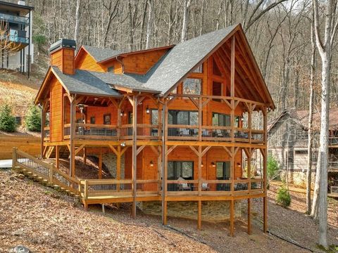 1601 Shady Falls Road Blue Ridge GA 30513