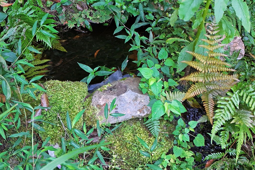 353 Kells Ridge Court