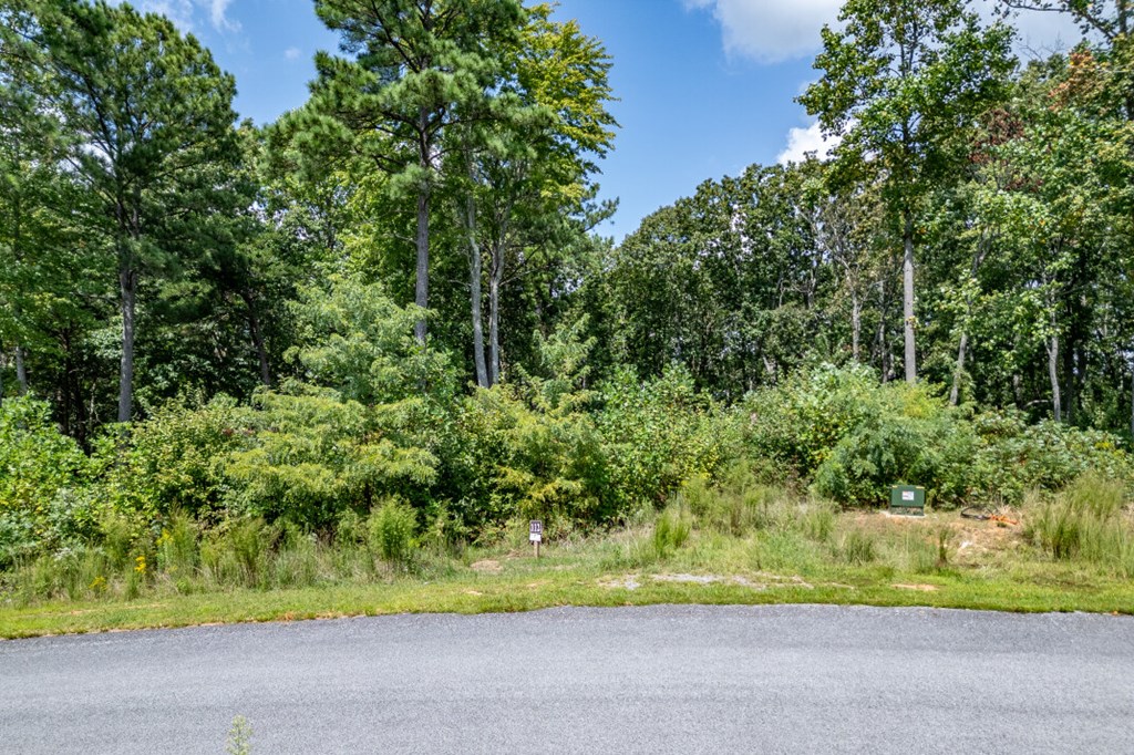 Lot 112 Twisted Oak Road