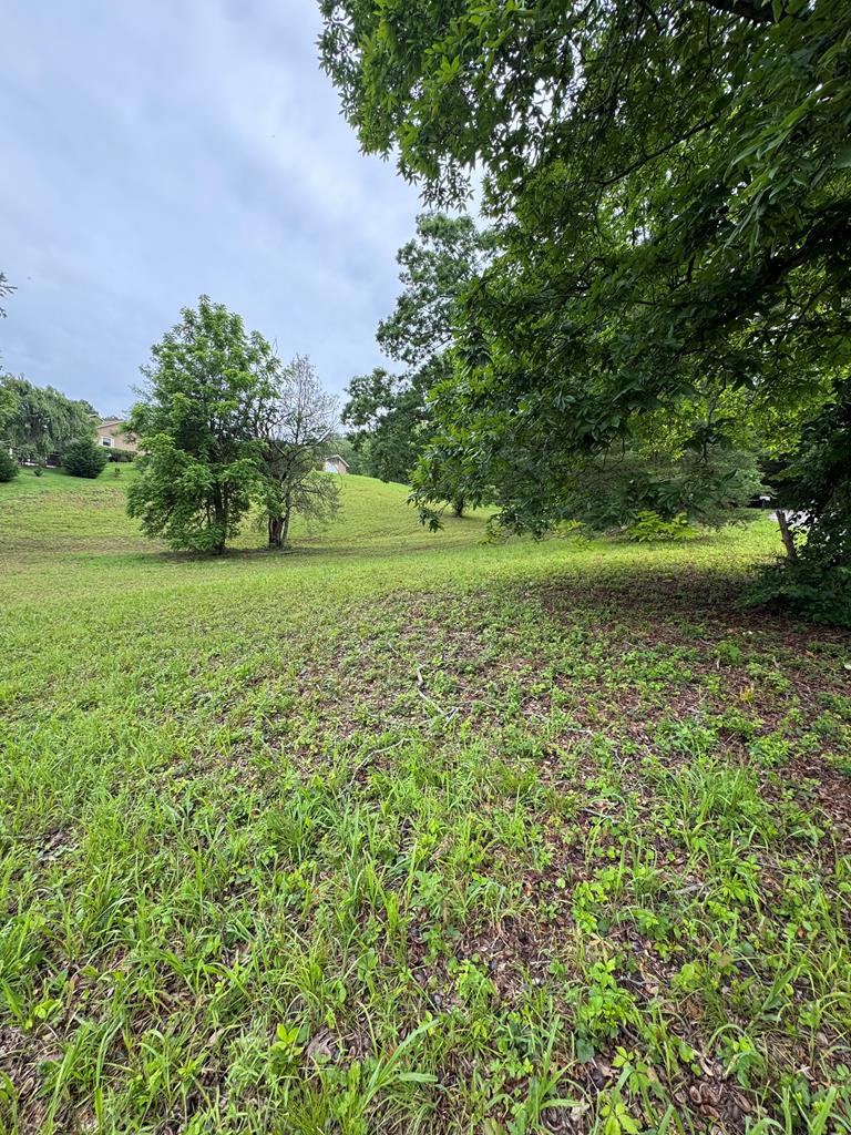 Lot 6 Chatuge Shores Overlook